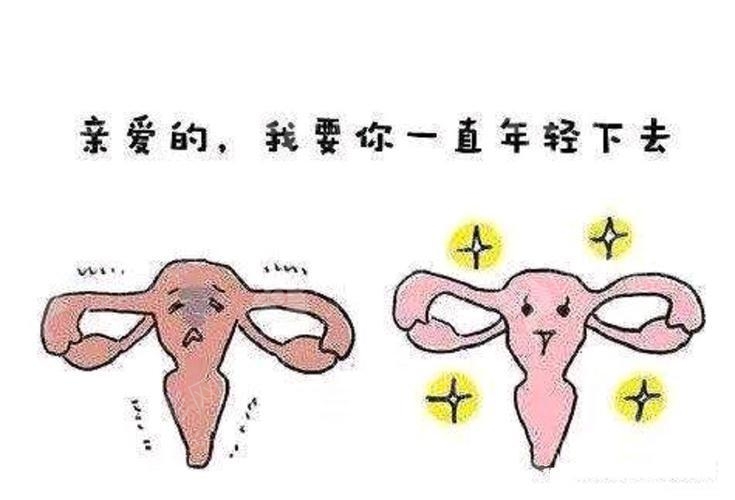 温州星范私密漂红
