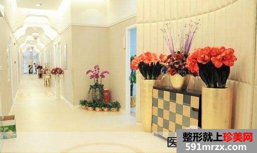 石家庄美联臣整形美容医院价格表2017年最新版参考消息