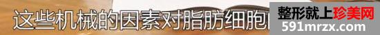 自体脂肪的存活率与哪些因素有关