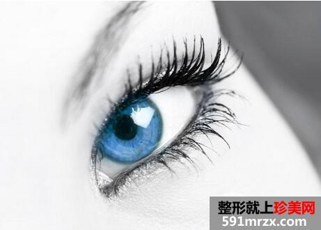 种睫毛要多少钱|种睫毛和接睫毛的区别是什么