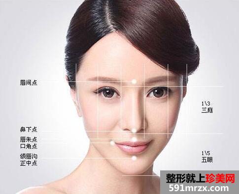 整瓜子脸需要多少钱