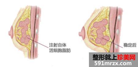 北京丽都医疗美容医院价格表崭新一览爆出