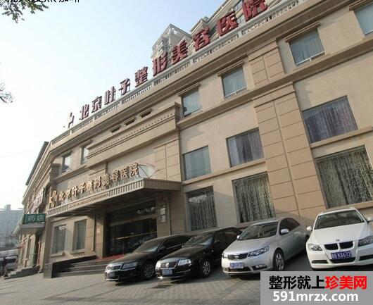 北京叶子整形医院价格表一览曝光
