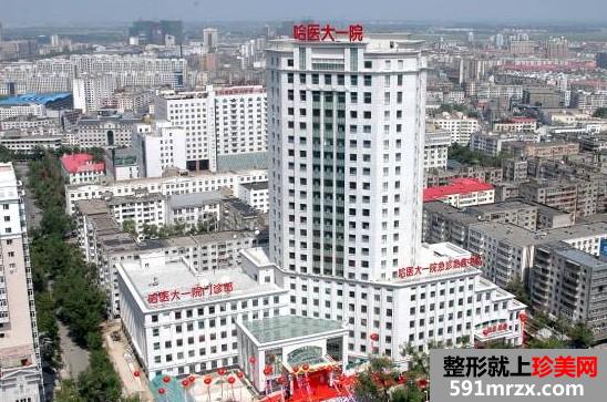 【哈医大一院整形美容外科价格表2017】