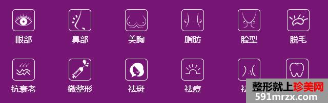 上海美莱医疗美容医院,价格表价目表，整形项目