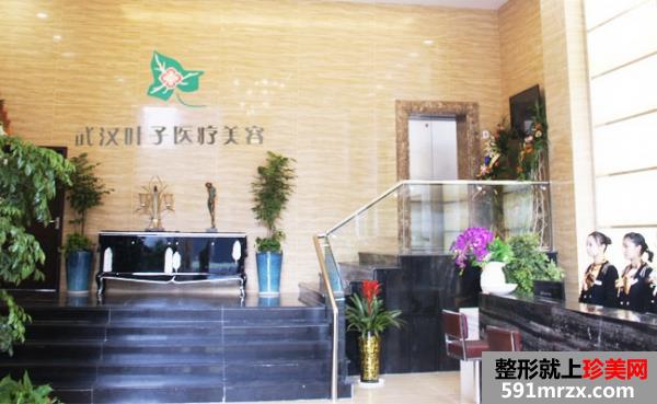 武汉叶子医疗美容医院价格表