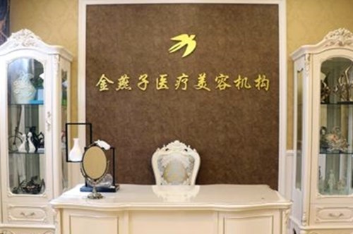 北京金燕子医疗美容诊所2021面部美容价格