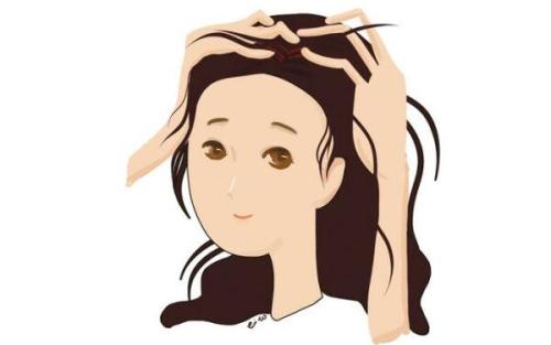 自体头发移植费用