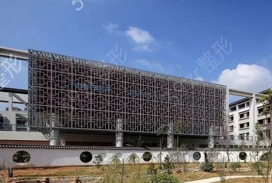 深圳整形三甲醫(yī)院排名