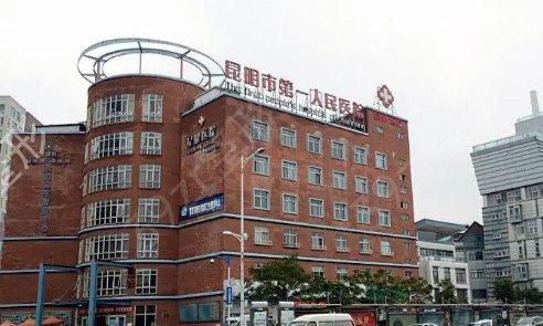 云南假體豐胸公立醫(yī)院排名盤點