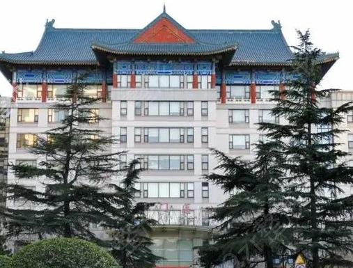 北京公立整形医院排名前十被拿下