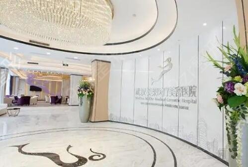 武漢十大整形醫(yī)院排名