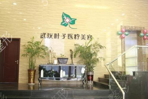 武漢十大整形醫(yī)院排名