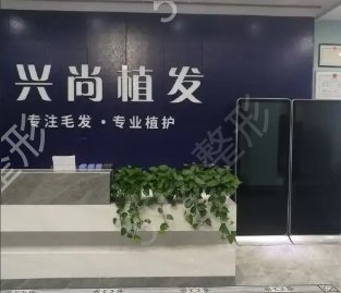 青岛植发医院排名前五