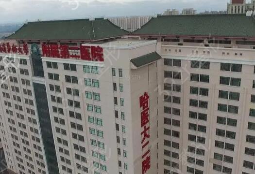 哈尔滨正规植发医院排名