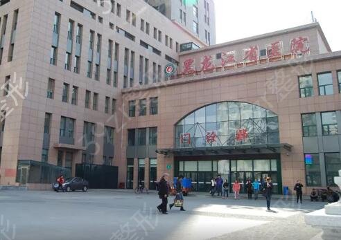 哈尔滨提眉哪里好