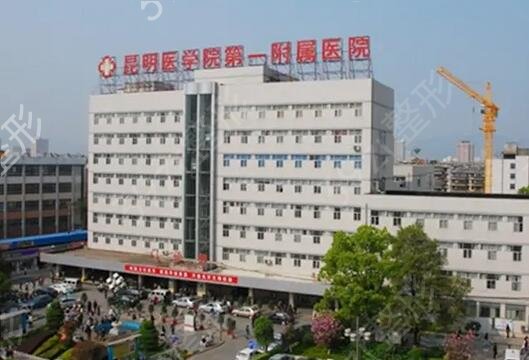 昆明打玻尿酸哪家好