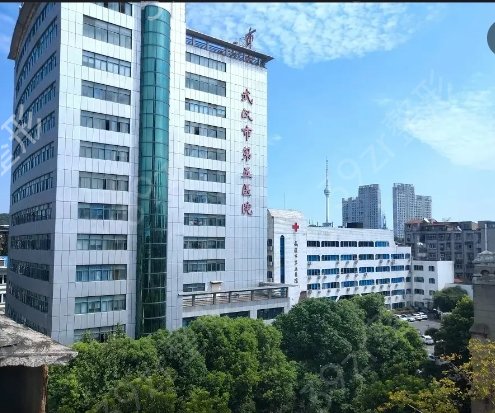 湖北公立整形医院排名前五