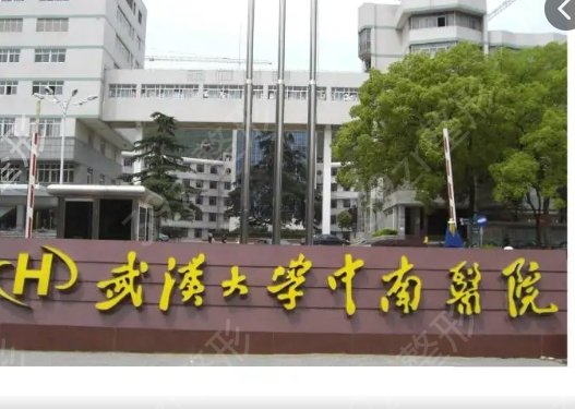武汉整形三甲医院排名