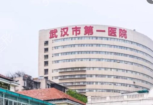 武汉整形三甲医院排名