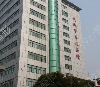 武汉有名的整形医院排行榜