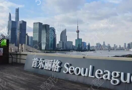 上海隆胸整形医院排名