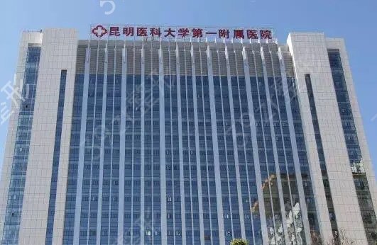 昆明植发排名榜前五