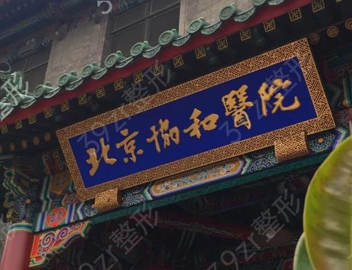 中国正规的整形医院排名前十