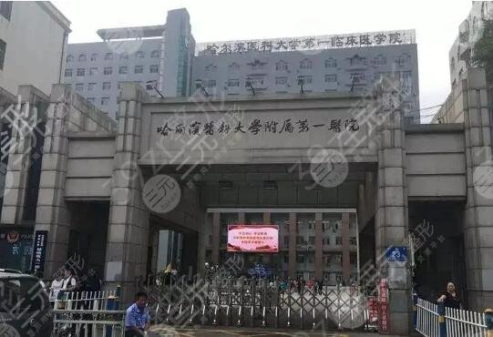 黑龙江省十大整形医院排名榜