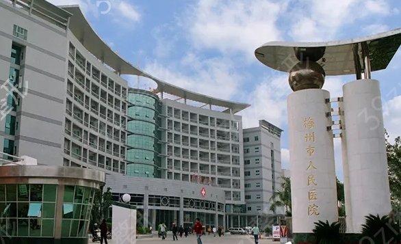 廣東正規(guī)大型整形醫(yī)院推薦