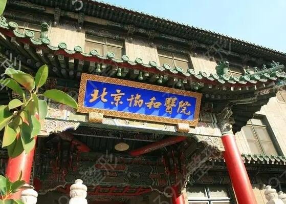 全国牙科排名前五