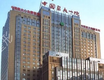 沈阳排名前十的整容医院