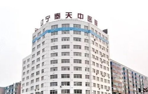沈阳排名前十的整容医院