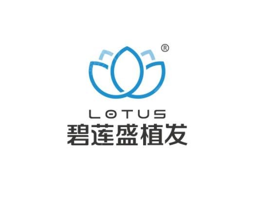 2022-2022国内三大植发品牌年度排名汇总_专家