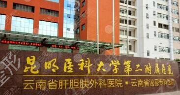 昆明鼻部整形医院排行榜