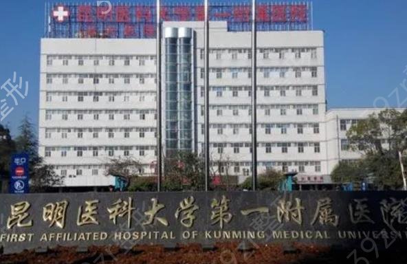 昆明大腿吸脂整形医院排名榜top5权威甄选
