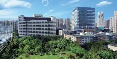上海十強醫(yī)院排行榜