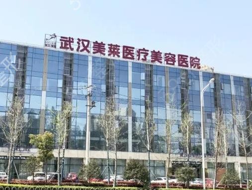 武漢整形醫(yī)院排名前十紅黑榜爭奪