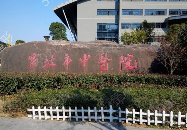 宁波公立整形医院排名前十
