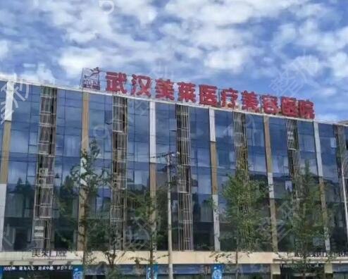 武汉市整形医院十大排名表