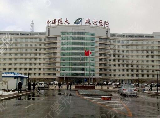 沈阳隆鼻整形医院哪家好