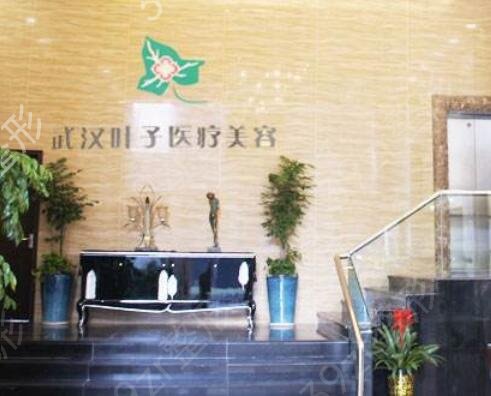 武漢十大整形醫(yī)院哪家好