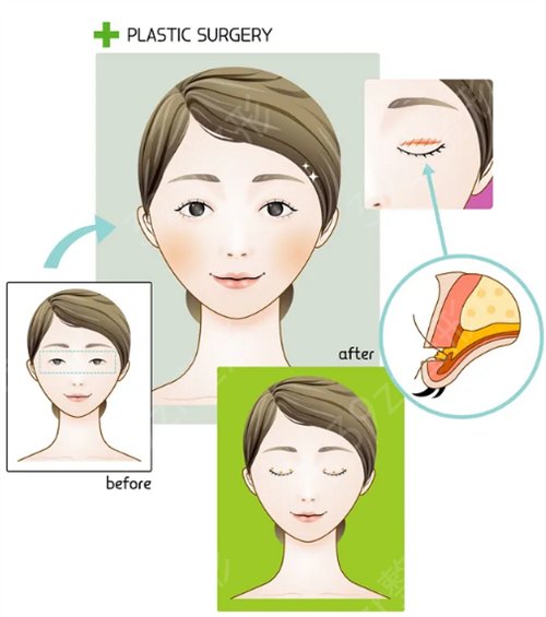 东莞知美怎么样
