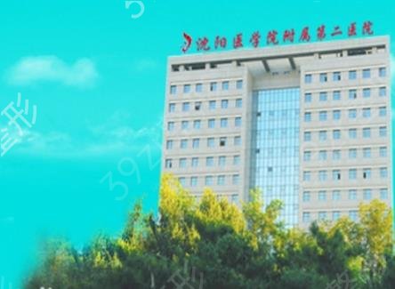 沈陽整形外科公立醫(yī)院哪家好