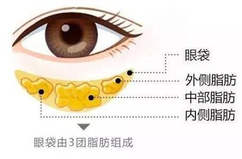 2022石家庄蓝山整形医院和星源哪个好