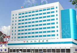 武汉仁爱医院整怎么样