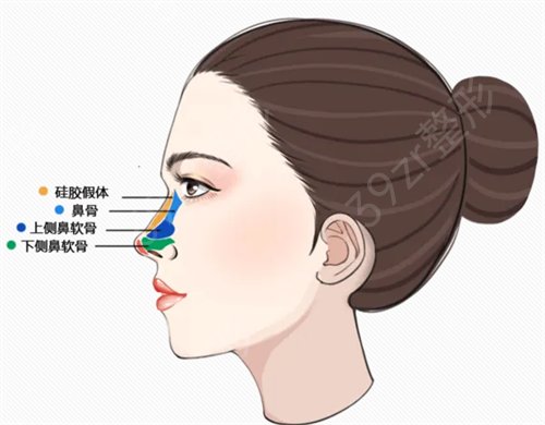 上海隆鼻医生推荐——好的医生才能带来好的整形果