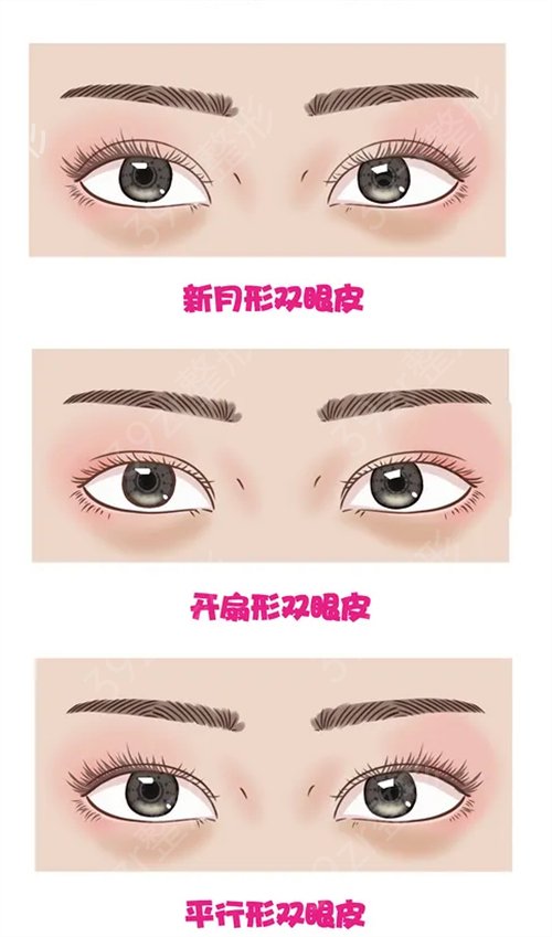 东莞知美怎么样
