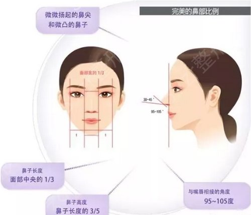 北京四大隆鼻整形机构排名榜权威发布