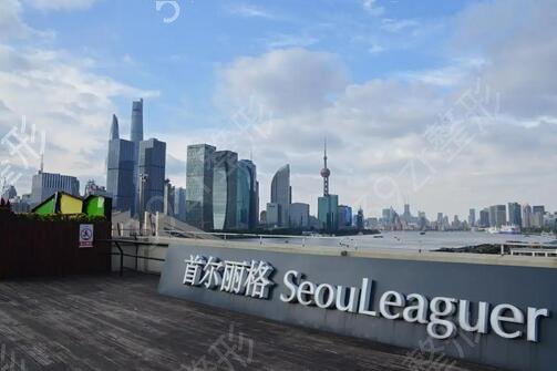 上海颧骨内推术哪家医院好